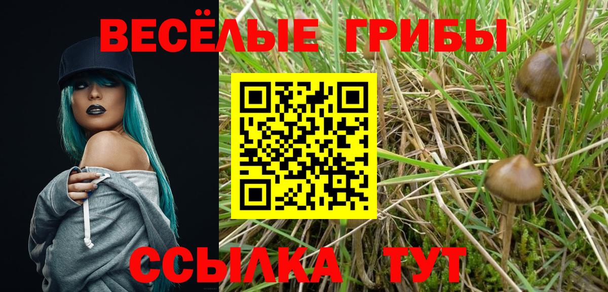 Туапсе  Галлюциногенные грибы мухоморы  Вход с VPN 