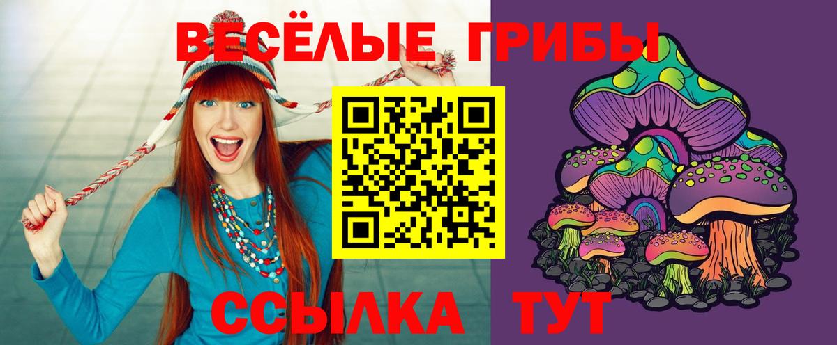 Псилоцибиновые грибы Psilocybine cubensis Туапсе